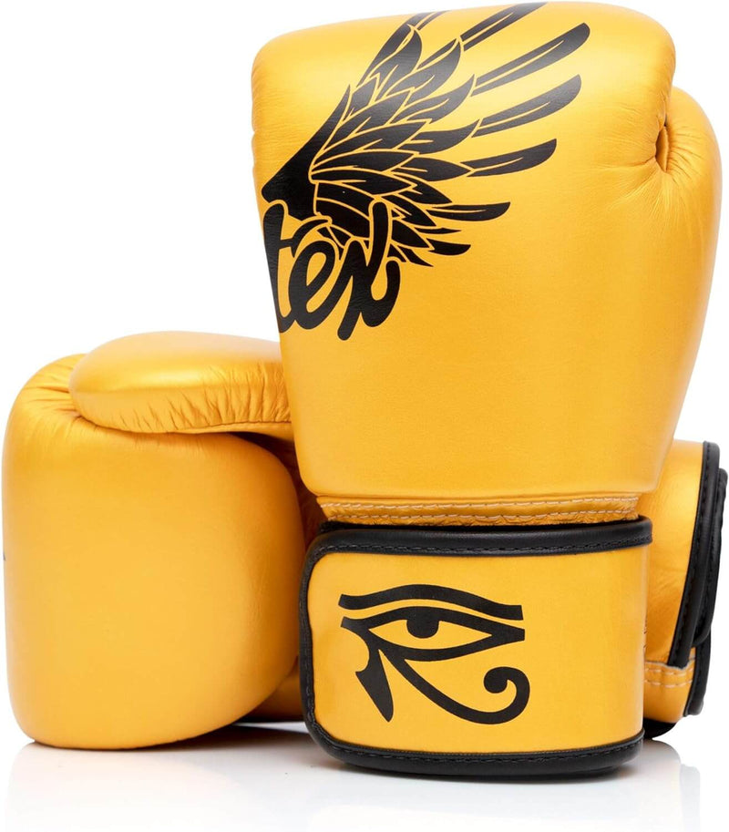 Fairtex BGV1 Universal Boxing Gloves Falcon