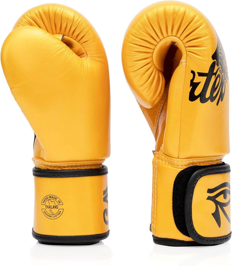 Fairtex BGV1 Universal Boxing Gloves Falcon